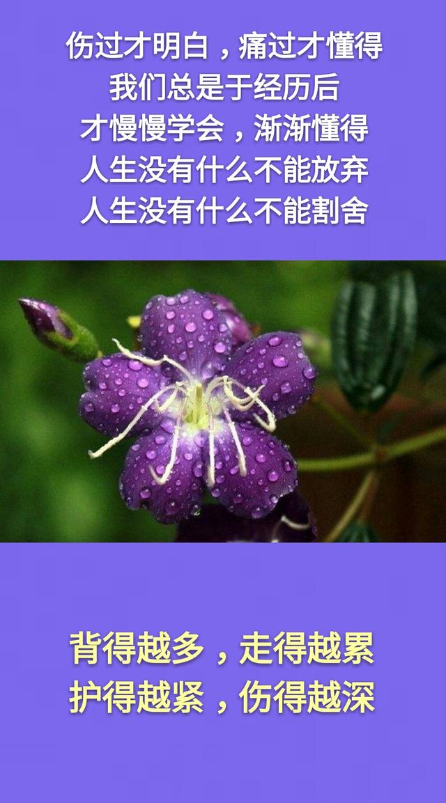 能百毒不侵的人都曾经伤痕累累,能笑看风云的人都曾经