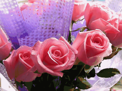 太太太漂亮了,赶紧打开看看,朋友就像一杯酒,岁月越久