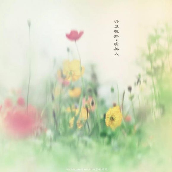 每日美文~感恩今生遇见你