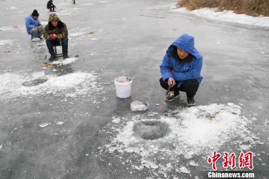 随着气温走低,河面结冰约20厘米厚,每天约有300名垂钓爱好者在此区域