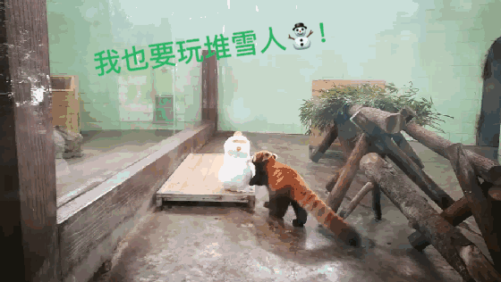 今天小编就给大家奉上一组又萌又逗的 表情包 ↓↓