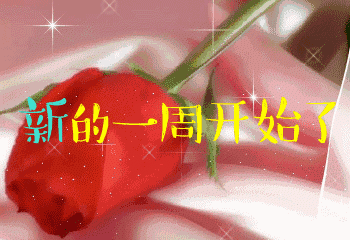 中青看点 美文频道 ></p></a> 正文   今天是2月5日星期一 时光在忙碌中溜走