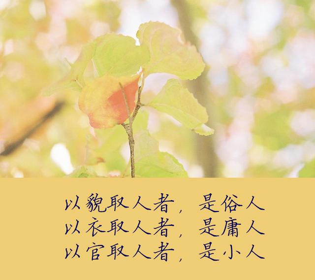 人生境界,容言,容事,容人!