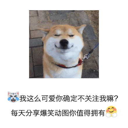 传说中,这些丧心病狂的拉拉队真是碉堡