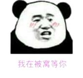 斗图表情,警告你们,不要打扰我v表情杯酒表情包来老板图片