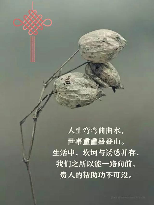 新年之际,感恩生命中的贵人!