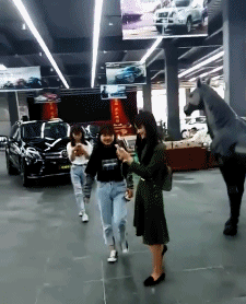 笑的喜出望外一十九张图(hbc444)