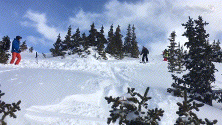搞笑gif图:这年头,是不是雪滑比滑雪更好玩啊!