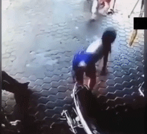 搞笑段子:毕竟,养猪致富