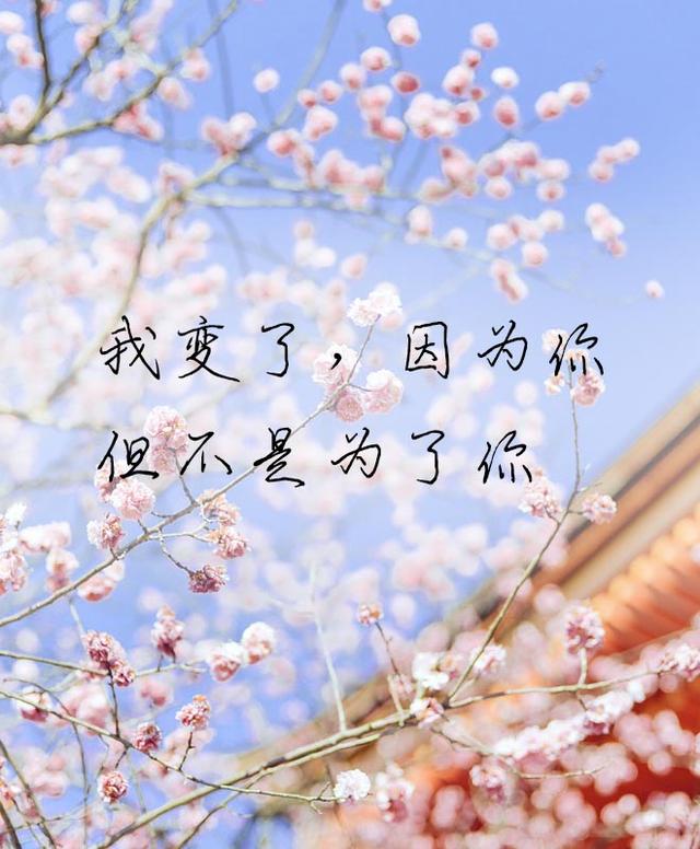 我愿意用生命中每一分每一秒去陪你,再也不要和你说分离