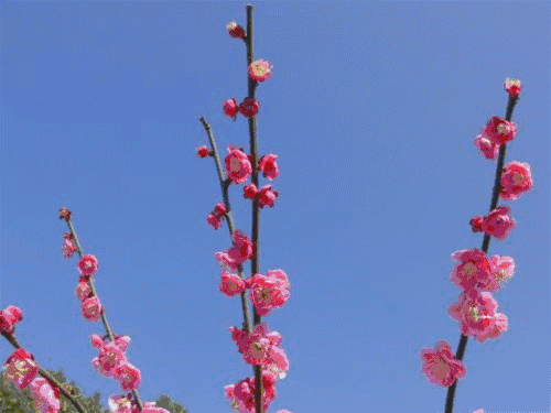 500_375