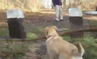 中青看点 笑话频道 ></p></a> 正文   中青看点发红包中,赶紧领取!