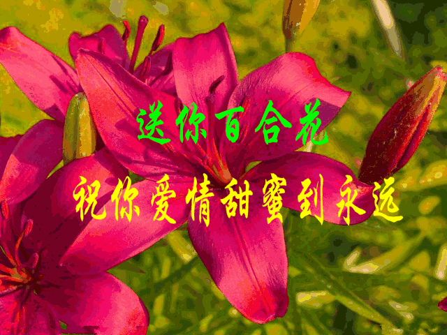 三八妇女节, 祝你: 笑容灿烂,脸上开满快乐花; 心情甜蜜,心里开满