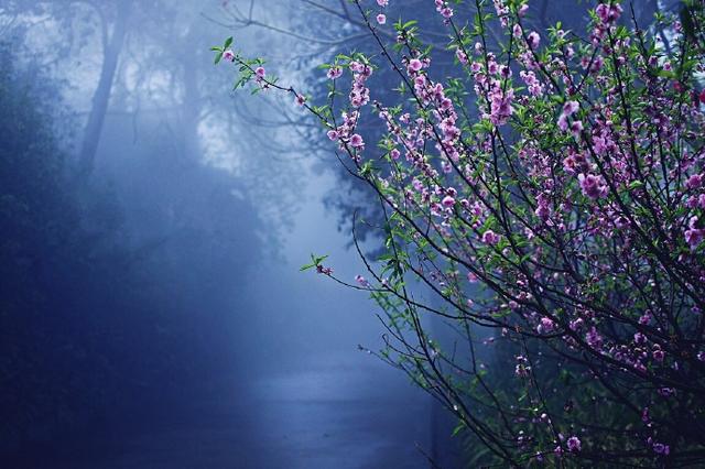 落花人独立,微雨燕双飞.