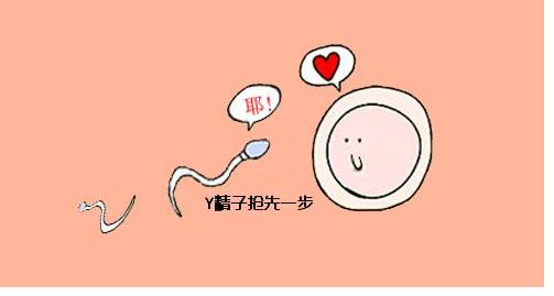 二胎凑"好"字,想备孕生男孩要注意这5个事项!