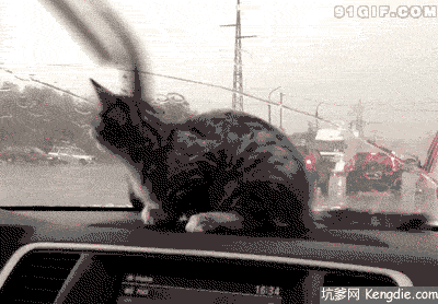 避免雨刷器干摩擦,建议大家在使用雨刷前先给雨刷喷玻璃水,避免雨刷