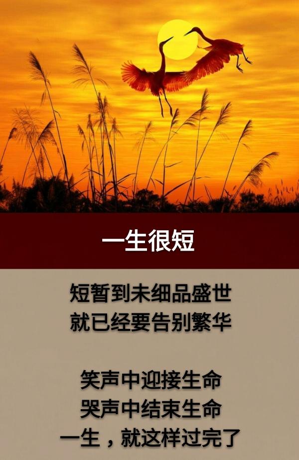 人生如梦,岁月无声!