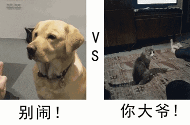 搞笑gif:原来阿三也不是万能的