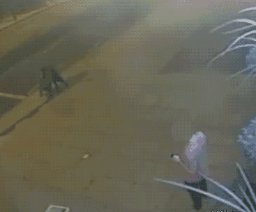 搞笑gif:抓住救命的的稻草!