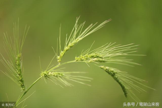 做人,要有自知之明,别不知道天高地厚