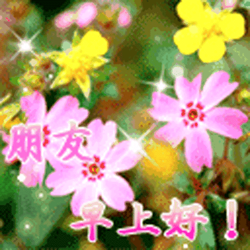 早上好,祝福送上,愿我的祝福时时刻刻伴着你