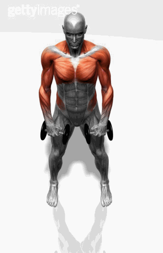 快收藏!史上最全健身3d动图,今天下班就开练