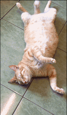 中青看点 笑话频道 ></p></a> 正文   老公最近工作很累,老婆为了犒赏老公