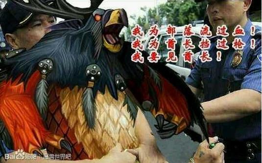 魔兽世界鸟德搞笑图片集锦,笑点都被他们承包咯