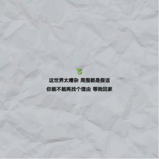 4,这世界太嘈杂周围都是假话,你能不能再找个理由等我回家.