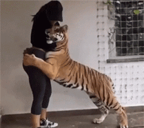 搞笑gif图片笑话段子:睡什么睡,起来嗨啊