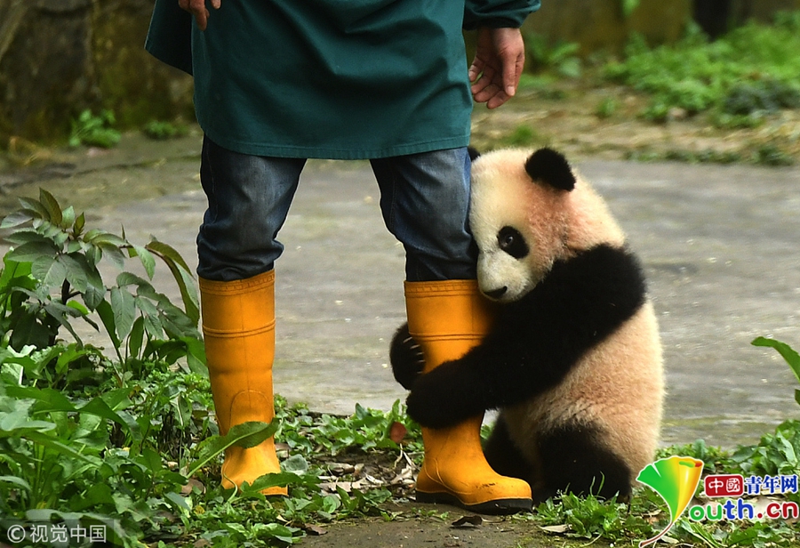 抱腿高清