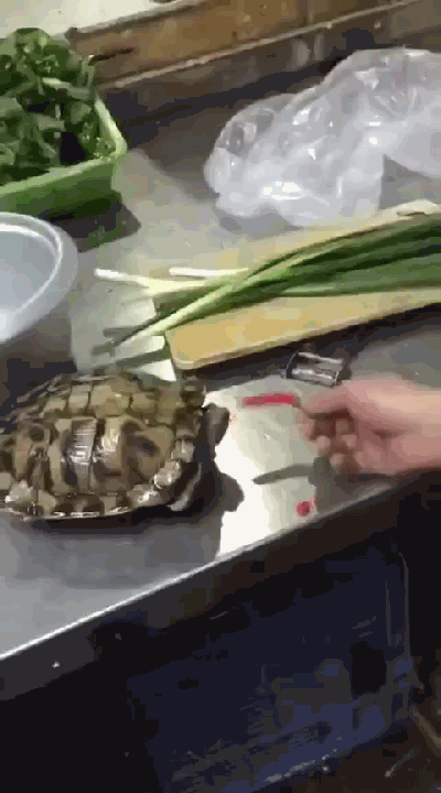 400_720 竖版 竖屏