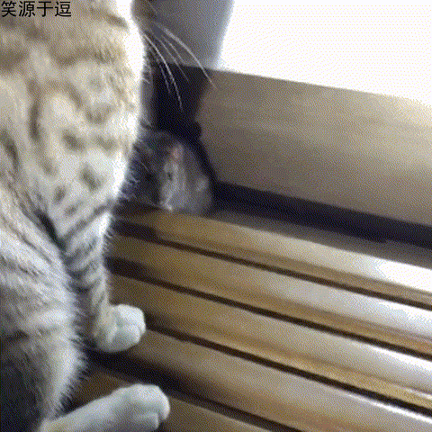 开心一笑:你都这么漂亮了还染发!你想迷死我啊