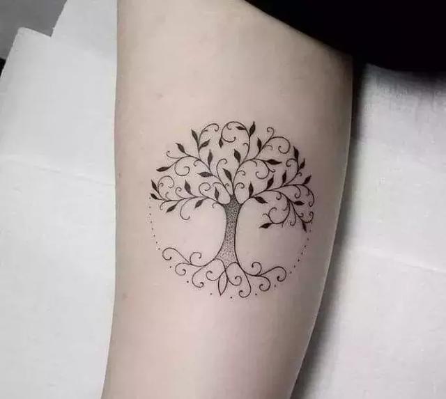 纹身:生命树