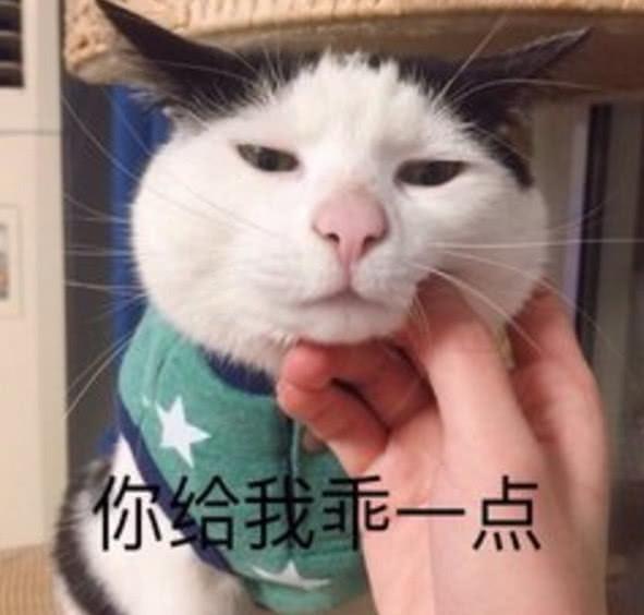 猫咪表情包:可爱怼人猫咪表情包,女生用,可爱加倍啊