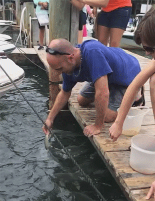 中青看点 笑话频道 ></p></a> 正文   欢迎关注,每天分享原创搞笑内涵动态图