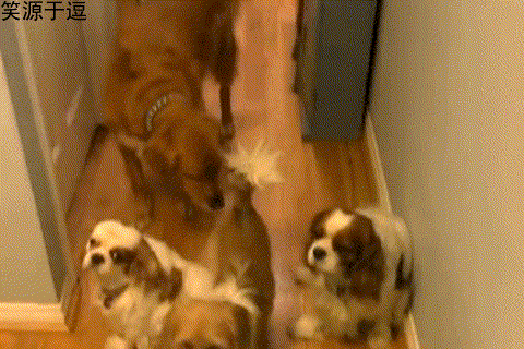 中青看点 笑话频道 ></p></a> 正文   吃呀吃不得啊 3,(由李大王编辑)给朋友寄