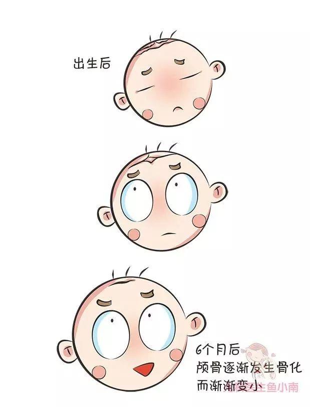 了解囟门