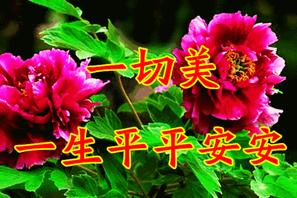 晚安祝福,送你五大美,祝身体健康,爱情甜蜜