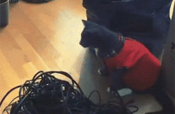 爆笑涛爷:小妹妹请不要这么好嘛,当心真的会走火