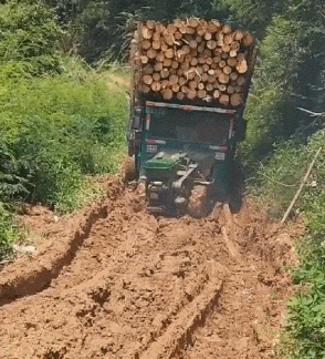 姑娘,你这是要上天吗,不过高度真的不够呀
