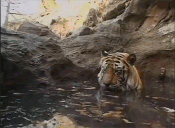 会心一笑,点个关注呗!