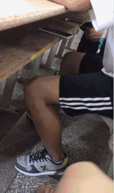 来,铲屎的,快点吧线递给我,我要玩游戏了——搞笑段子