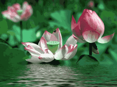 人人受益的大实话