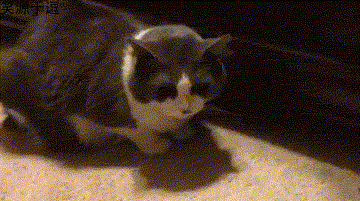 中青看点 笑话频道 ></p></a> 正文   1,(由喜欢刘忻的小白编辑)女朋友说腰疼