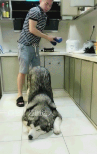 搞笑gif图:妹子,你到底经历什么?