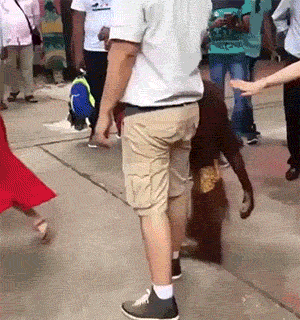 连中国人都不行的事,你们非洲人能行?