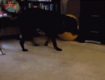 中青看点 笑话频道 ></p></a> 正文   拍照片角度很重要,烂片变大片!