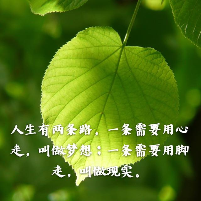 人生有两条路,一条需要用心走,叫做梦想;一条需要用脚走,叫做现实.