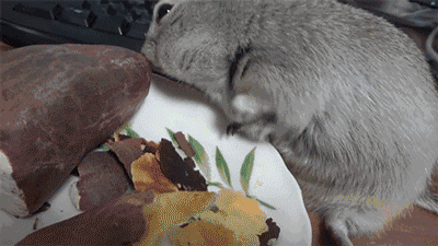 搞笑段子:和媳妇相亲,点了6个菜,我吃了3碗米饭,她吃